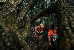 BIB: 
                            <button type="button" onclick="openModal(25702462)" class="btn btn-primary btn-sm float-right btn-popup" data-toggle="modal" data-target=".modal-high-quality">
                        <i class="fas fa-shopping-cart"></i> Add to Cart
                    </button>
                                            <button type="button" onclick="isThisMe(25702462, true)" class="btn btn-success btn-sm float-right btn-popup btn-isme hidden" data-toggle="tooltip" data-placement="bottom" title="นี่คือรูปของคุณใช่ไหม คลิกที่นี่เพื่อเอาเข้าอัลบั้ม">
                        <i class="fas fa-plus"></i> Add to album
                    </button>
                    <button type="button" onclick="isThisMe(25702462, false)" class="btn btn-warning btn-sm float-right btn-popup btn-isnotme hidden">
                        <i class="fas fa-ban"></i> Remove from album
                    </button>